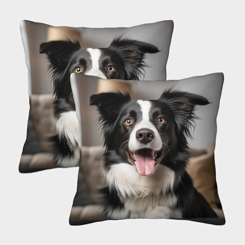 TIICZAAKL Lindo Cachorro Fundas De Cojín 2 Juego De Suave Border Collie Funda...