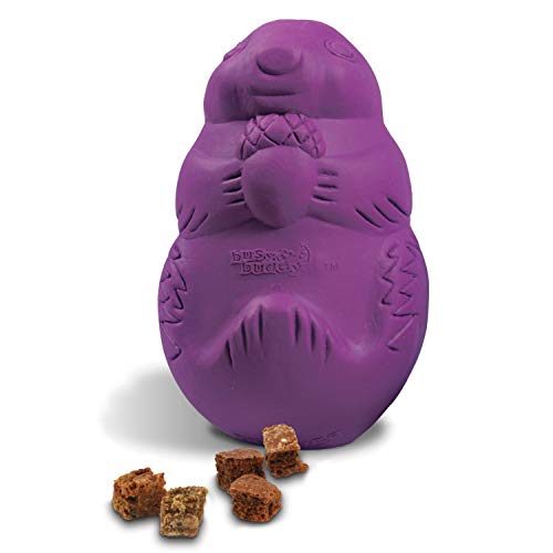 PetSafe Busy Buddy Squirrel Dude – Juguete para Perros, Juguete Dispensador de...