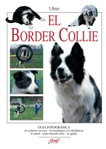 El border collie