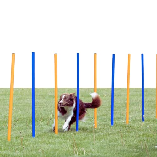 Eslalom para agility - 115 x 3 cm