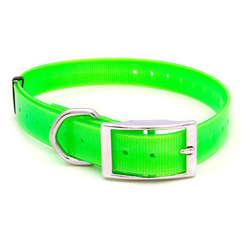 Arcea Polytec Collar para Perro, Verde fosforito, 25 mm