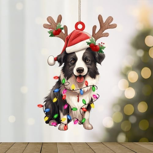 WoGuangis Adorno de regalo para dueño de mascotas, adornos acrílicos Border...