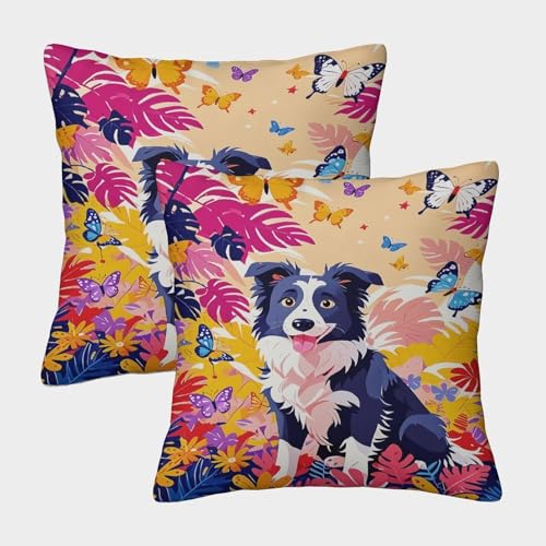 Fundas De Cojines con Border Collie Juego De 2 Funda De Almohada Border Collie...